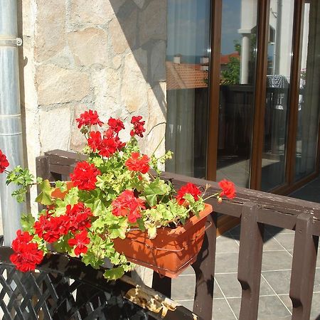 Tsb Sun Coast Apartments Свети Влас Екстериор снимка
